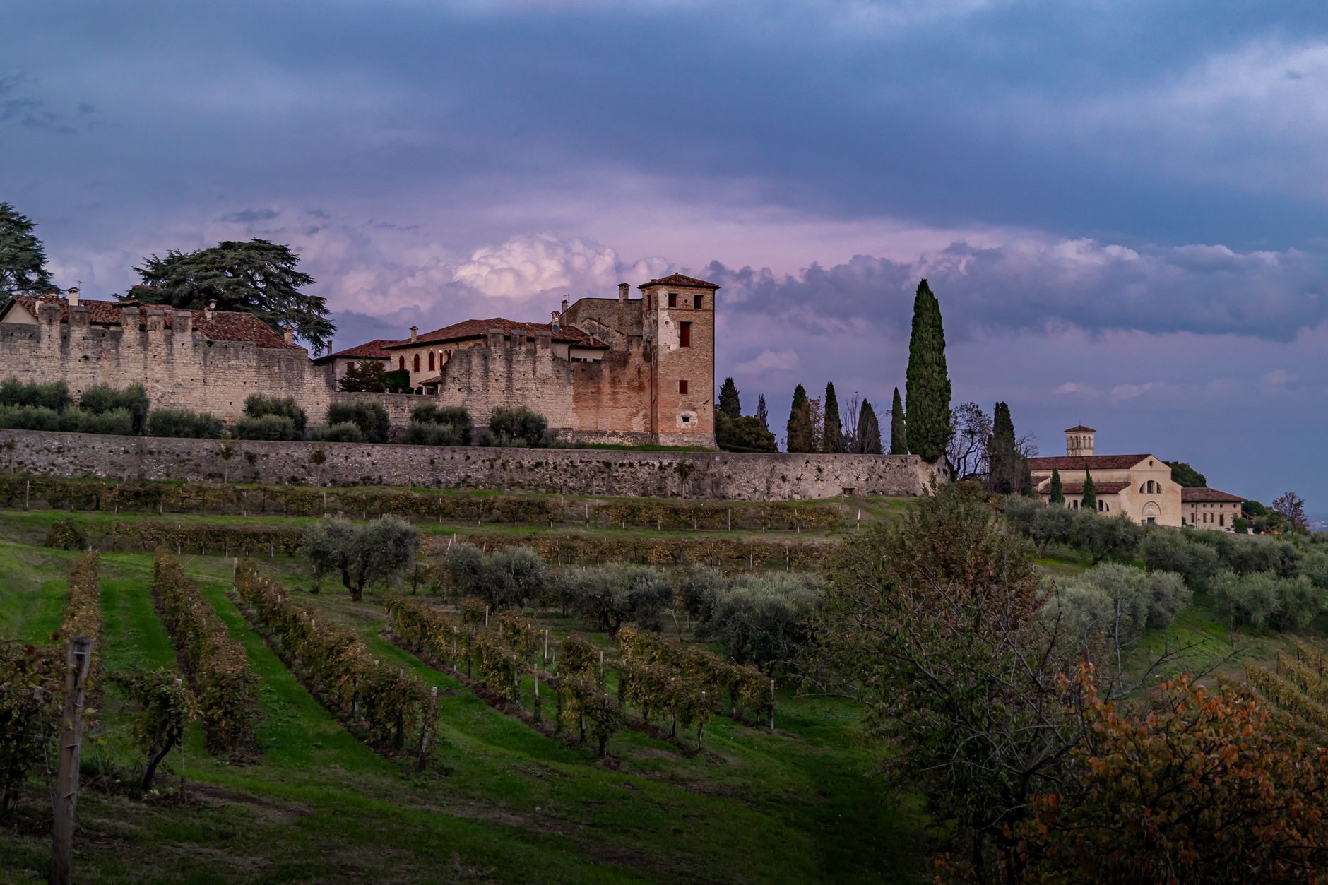 Tuscan vineyard landscape at dusk